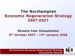 The Northampton Economic Regeneration Strategy 2007-2021 - Results from Consultation - Northampton ...