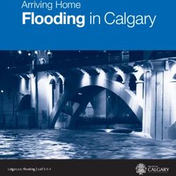 Flooding in Calgary Arriving Home