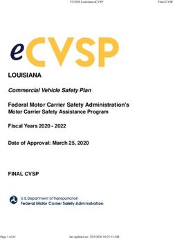 LOUISIANA Commercial Vehicle Safety Plan - Federal Motor Carrier Safety Administration