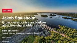 Jakob Stausholm Grow, decarbonise and deliver attractive shareholder returns Bank of America Global Metals, Mining & Steel conference