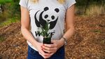 Australian Wildlife & Nature Recovery Fund - 2020 BUSHFIRE RESPONSE - WWF-Australia