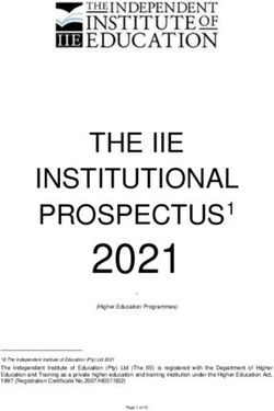 2021 THE IIE INSTITUTIONAL - PROSPECTUSP0F