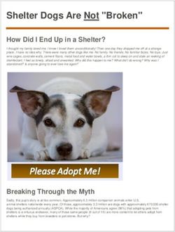 Shelter Dogs Are Not "Broken" - How Did I End Up in a Shelter? - Amy's Adoptables