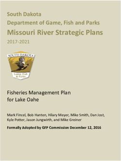 Missouri River Strategic Plans - South Dakota Department of Game, Fish and Parks - State of South ...