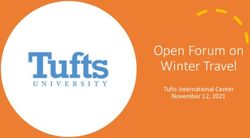 Open Forum on Winter Travel - Tufts International Center November 12, 2021