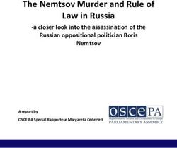 The Nemtsov Murder and Rule of Law in Russia-a closer look into the assassination of the Russian oppositional politician Boris Nemtsov - OSCE ...