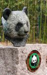 Giant pandas: the species-based approach to conservation