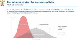 Risk-adjusted strategy for economic activity - Franchise ...