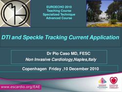 DTI and Speckle Tracking Current Application - Dr Pio Caso MD, FESC Non Invasive Cardiology,Naples,Italy