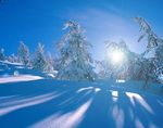 Creativity | Innovation - FEBRUARY 7-11, 2018 WORLD CULTURE EXTREME SPORTS ENVIRONMENT ADVENTURE - Frozen River Film Festival