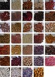 Diversity, use and production of farmers' varieties of common bean (Phaseolus vulgaris L., Fabaceae) in southwestern and northeastern Ethiopia