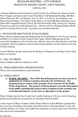REGULAR MEETING CITY COUNCIL PRINCETON, MERCER COUNTY, WEST VIRGINIA - City of Princeton WV