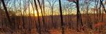 BUCKEYE TRAIL ASSOCIATION - FOUNDED 1959 FALL 2022 VOLUME 55 NO. 3
