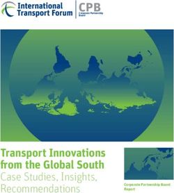 CPB - Transport Innovations from the Global South Case Studies, Insights, Recommendations