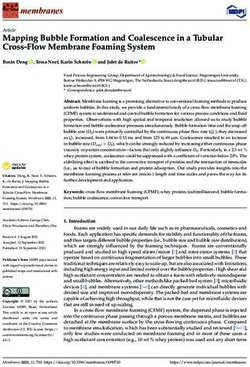 Mapping Bubble Formation and Coalescence in a Tubular Cross-Flow Membrane Foaming System