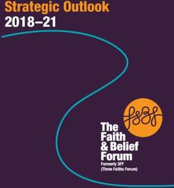 Strategic Outlook 2018-21 - Three Faiths Forum