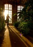 Heritage responds - Taking positive action on climate change - historicenvironmentforum.org.uk