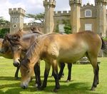 Heritage responds - Taking positive action on climate change - historicenvironmentforum.org.uk