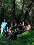 Collecting on Catahoula Lake - by Randy Bennett - The Greater New Orleans Bonsai ...
