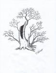 Collecting on Catahoula Lake - by Randy Bennett - The Greater New Orleans Bonsai ...
