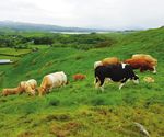 SUPPORTING SUSTAINABLE FARMING - INSIDE THIS ISSUE 03 15 22 - Dairygold Agri ...