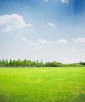 SUPPORTING SUSTAINABLE FARMING - INSIDE THIS ISSUE 03 15 22 - Dairygold Agri ...