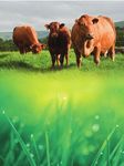 SUPPORTING SUSTAINABLE FARMING - INSIDE THIS ISSUE 03 15 22 - Dairygold Agri ...