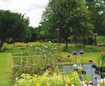 A new lease of life at Seagate - GARDENING - Guy Petheram Garden Design