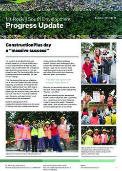 Progress Update Mt Roskill South Development - Mt Roskill Development