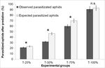 Intraguild predation between - Macrolophus pygmaeus and Aphidius ervi