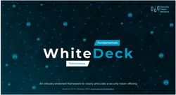 WhiteDec k Fundamentals Tokenomics - An industry endorsed framework to clearly articulate a security token offering - Security Token Network