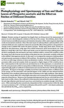 Photophysiology and Spectroscopy of Sun and Shade Leaves of Phragmites australis and the Effect on Patches of Different Densities - MDPI