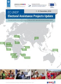 EC-UNDP Electoral Assistance Projects Update 1 - 31 December, 2018 - EC-UNDP Joint ...