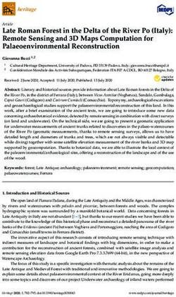 Late Roman Forest in the Delta of the River Po (Italy): Remote Sensing and 3D Maps Computation for Palaeoenvironmental Reconstruction - MDPI