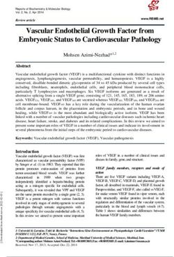 Vascular Endothelial Growth Factor from Embryonic Status to Cardiovascular Pathology