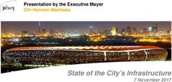 State of the City's Infrastructure - 7 November 2017 - Presentation by the Executive Mayor Cllr Herman Mashaba