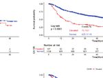The Prognostic Value of Preoperative Serum Tumor Markers in Non-Small Cell Lung Cancer Varies With Radiological Features and Histological Types