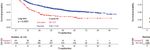 The Prognostic Value of Preoperative Serum Tumor Markers in Non-Small Cell Lung Cancer Varies With Radiological Features and Histological Types