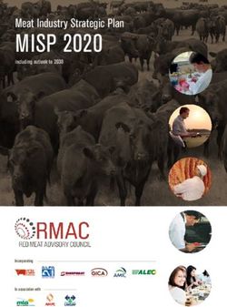 MISP 2020 Meat Industry Strategic Plan - including outlook to 2030 - Red Meat Advisory Council