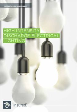 HIGH INTENSITY DISCHARGE ELECTRICAL LIGHTING - PROPERTY RISK MANAGEMENT