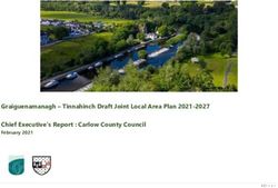 Graiguenamanagh - Tinnahinch Draft Joint Local Area Plan 2021-2027 Chief Executive's Report : Carlow County Council