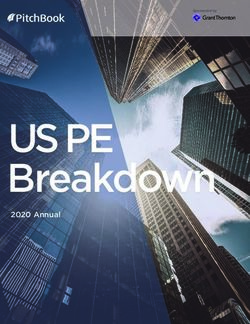US PE Breakdown 2020 Annual - The Lead Left