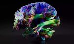 ACNR ADVANCES IN CLINICAL NEUROSCIENCE & REHABILITATION