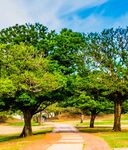 This Week @FORT HARE Vol 2, issue 12 - Institutional Advancement - University of Fort Hare