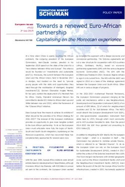 Towards a renewed Euro-African partnership - La Fondation ...