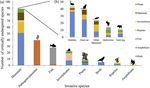 Global Ecology and Conservation - ISG Library