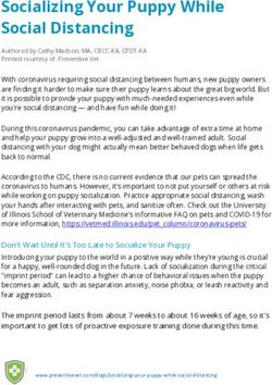 Socializing Your Puppy While Social Distancing