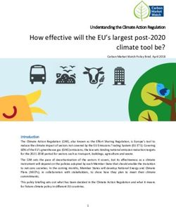 How effective will the EU's largest post-2020 climate tool be?
