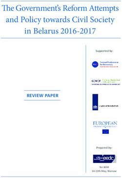 THE GOVERNMENT'S REFORM ATTEMPTS AND POLICY TOWARDS CIVIL SOCIETY IN BELARUS 2016-2017 - REVIEW PAPER