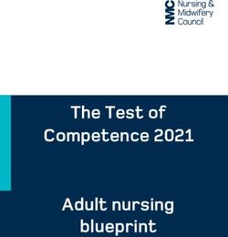 The Test of Competence 2021 Adult nursing blueprint - NMC